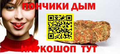 дмт Славгород