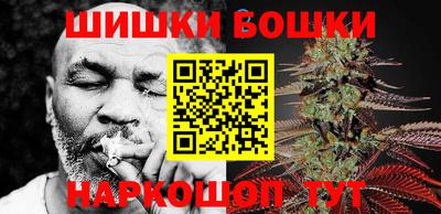 дмт Славгород
