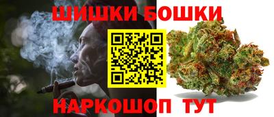 дмт Славгород