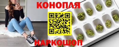 дмт Славгород