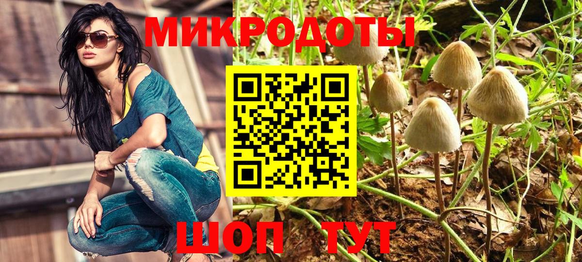 Псилоцибиновые грибы Cubensis  Вход с VPN  Черкесск 